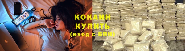 сатива Няндома