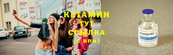 сатива Няндома