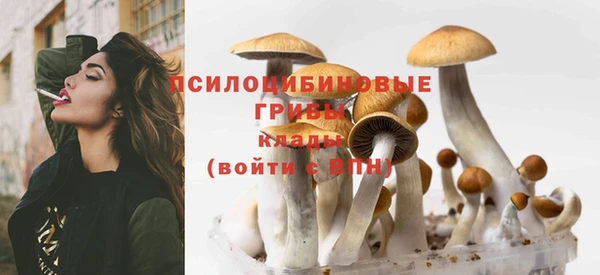 сатива Няндома