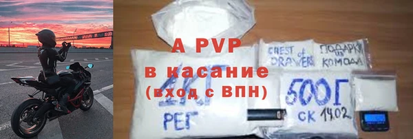 сатива Няндома