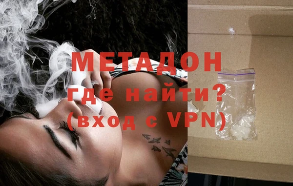сатива Няндома