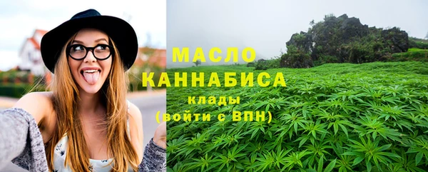 сатива Няндома