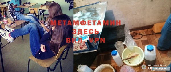 сатива Няндома
