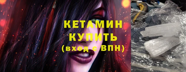 сатива Няндома
