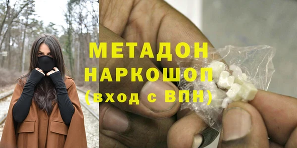 сатива Няндома